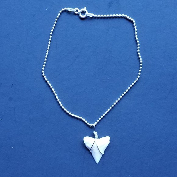 Anklet 925 Sterling Silver Chain and Real Shark Tooth Charm - Picture 4 of 5